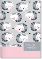 Pd P4114-3062 Cats 2025-2026 tanítói zsebkönyv kép