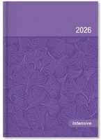 Pd PATP4114-1919 Határidőnapló period intensive a/5 napi lila lakk papír 2026 kép