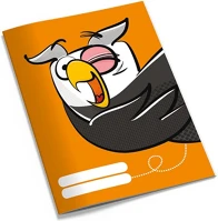 Pd PPP1111-1823 Füzet pd kisalakú 12-32 vonalas tengernyi tudás bagoly kép