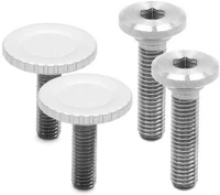 Peak design CB-SV-1 Bolt pack ezüst (x2) kép