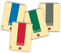 Pigna PIGNASTYL A/4 Jegyzettömb spirálos styl a/4 sima 60 lapos kép