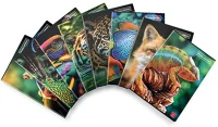 Pigna 02320441R/02325931R Füzet animal a/4 tűzött 42 lapos vonalas kép