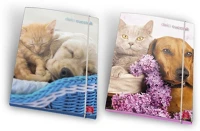 Pigna 02320853L/02326373L Gumis mappa karton  dolci cuccioli a/4 kép