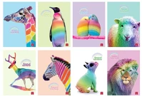 Pigna 02326225M Füzet  animal rainbow a/4 tűzött 38 lapos kockás kép