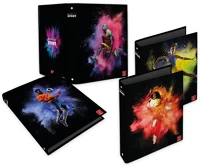 Pigna 023262930/023302530 Gyűrűs könyv  sport  a/4 4 gyűrűs 40 mm gerinccel kép