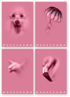 Pigna 02330125M Füzet  monocromo pink a/4 tűzött 38 lapos kockás kép