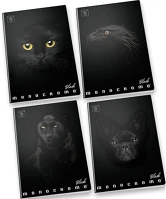 Pigna 02303375M Füzet  monocromo black a/4 38 lapos kockás kép