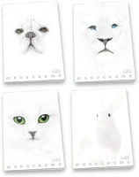 Pigna 02307915M Füzet  monocromo white a/4 38 lapos kockás kép