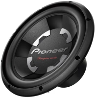 <span itemprop='brand'>Pioneer</span> <span itemprop='sku'>TS-300D4</span>