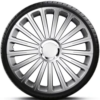 Pro ARG16RADICALP_1 16