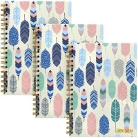 Pukka pad COR_PUP9379 Spirálfüzet, b5, vonalas, 80 lap, fsc,  