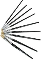 Pulse COR_PLS220211 Ecset, no. 0, fa, lapos kép