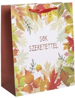 Qx 370287 Dísztasak matt 18x23 cm faleveles sok szeretettel felirattal kép