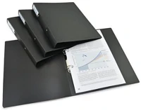 Rapesco COR_IR1827 Gyűrűs könyv, 2 gyűrű, 38 mm, a4, pp,  