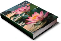 Realsystem 23.090372 librobello 