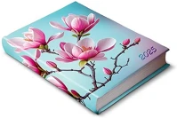 Realsystem 23.090373 librobello 