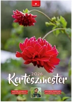 Realsystem 23.0971109 Falinaptár  340x485mm álló kertészmester 2026. kép