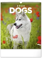 Realsystem 23.09826 Falinaptár  300x340mm álló dogs 2026. kép