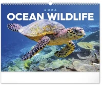 Realsystem 23.09852 Falinaptár  480x330mm fekvő wildlife 2026. kép