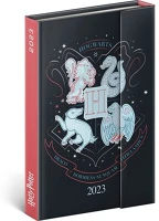 Realsystem 5412-HP Realsystem 2023-as 5412 Harry Potter B6 mágneses zsebnaptár kép