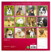 Realsystem 6097-DO 2025 dogs  falinaptár kép