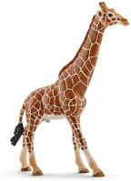 Schleich 14749 Zsiráf bika figura (14749) kép