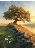 Shkolyaryk A4-040-5249K Füzet, tűzött, a4, kockás, 40 lap,  