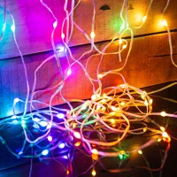 Smart 100-240V - 66 Fényfüzér - 100-240v - 66 rgb led - 10 m - bluetooth kép