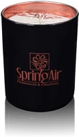 <span itemprop='brand'>Spring air</span> <span itemprop='sku'>aldspair-1620</span>