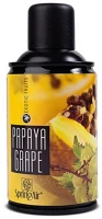 Spring air H65SPAIR-0507 Légfrissítő 250 ml papaya-grape kép