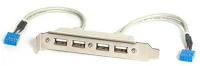 Startech USBPLATE4 Port usb a /female/ - 2 slot plate idc hátlapi kivezetés 0.28m - fehér kép