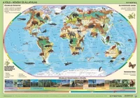 Stiefel COR_VTK26 Könyökalátét, kétoldalas,  