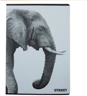 Street 01.02570 Füzet kockás  a/4 54 lapos safari kép