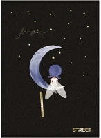 Street 01.03007 Füzet kockás  a/5 54 lapos black&gold kép