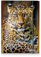 Street 02.00368 Gumis mappa  a/4 africa kép