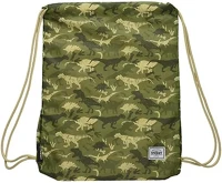 Street 15.01733 Tornazsák  dinosaur old kép