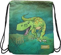 Street 15.18616 Tornazsák  dinosaur kép