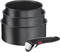 <span itemprop='brand'>Tefal</span> <span itemprop='sku'>1376902</span>