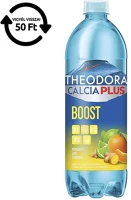 Theodora 0,7 L DRS Ásványvíz szénsavas calcia plus boost mandarin-lime-gyömbér 0,7 l drs kép