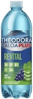 Theodora 30.02026 Ásványvíz szénsavas  calcia plus revital szőlő-aloe vera 0,7 l drs kép