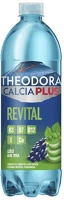 Theodora C69334 Ásványvíz szénsavas  calcia plus revital szőlő-aloe vera 0,7 l drs kép