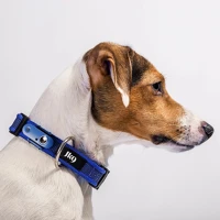 Tickless PRO-K9GRB Jk9 nyakörv újratöthető ultrahangos kullancsriasztóval - kék kép