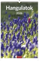 Toptimer 23.01239 Falinaptár  t094 220x330mm álló hangulatok 2026. kép