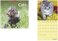 Toptimer 23.01260 Falinaptár  t098 290x580mm álló cats 2026. kép