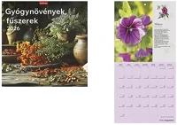 Toptimer 23.01263 Falinaptár  t098 290x580mm álló gyógynövények-fűszerek 2026. kép