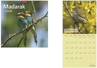 Toptimer 23.01264 Falinaptár  t098 290x580mm álló madarak 2026. kép