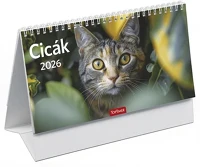Toptimer 23.09211 Asztali naptár képes  t058 álló fehér lapos cicák 2026. kép