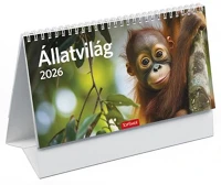 Toptimer 26T582P-00P Naptár, asztali, álló, 