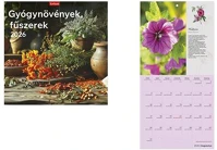 Toptimer 26T9800-16A Naptár, fali, 