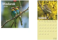 Toptimer 26T9800-18A Naptár, fali,  